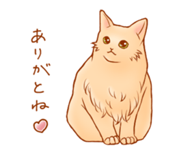 Cat!Cat!!Cat!!!! sticker #5825160