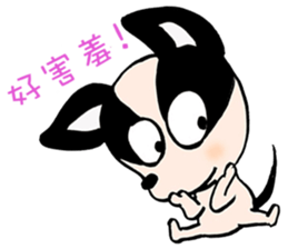 Chihuahua Bao's life diary sticker #5831942