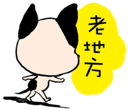 Chihuahua Bao's life diary sticker #5831948