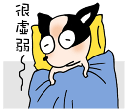 Chihuahua Bao's life diary sticker #5831951