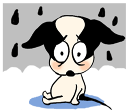 Chihuahua Bao's life diary sticker #5831954