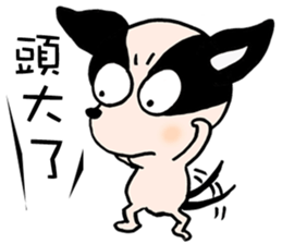 Chihuahua Bao's life diary sticker #5831963