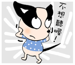 Chihuahua Bao's life diary sticker #5831964