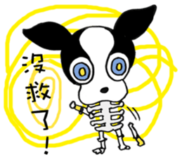 Chihuahua Bao's life diary sticker #5831965