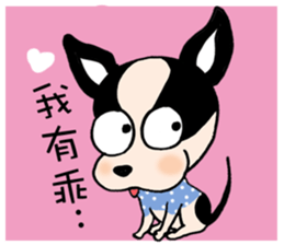 Chihuahua Bao's life diary sticker #5831966