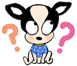 Chihuahua Bao's life diary sticker #5831969