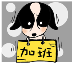 Chihuahua Bao's life diary sticker #5831971