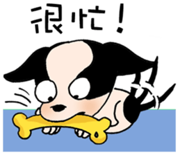 Chihuahua Bao's life diary sticker #5831972