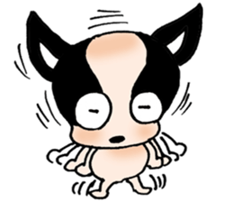 Chihuahua Bao's life diary sticker #5831977