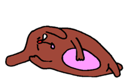 "NU" is dog sticker #5833367