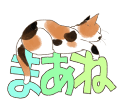 CAT & Character sticker #5833383