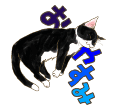 CAT & Character sticker #5833387