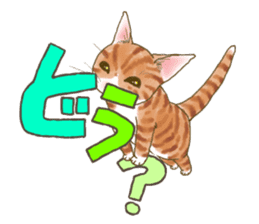 CAT & Character sticker #5833390