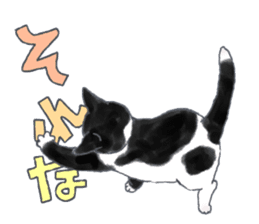 CAT & Character sticker #5833397