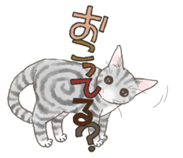 CAT & Character sticker #5833403