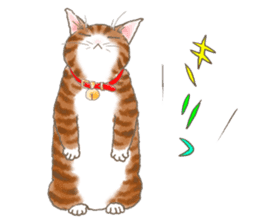 CAT & Character sticker #5833408