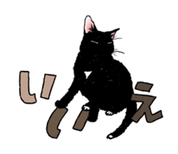 CAT & Character sticker #5833410
