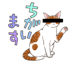 CAT & Character sticker #5833411