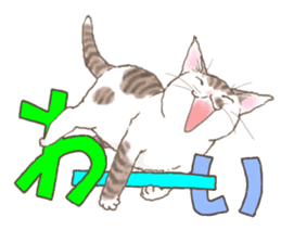 CAT & Character sticker #5833415