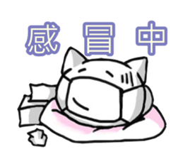 White and pink cat everyday sticker #5835573