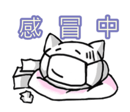 White and pink cat everyday sticker #5835573