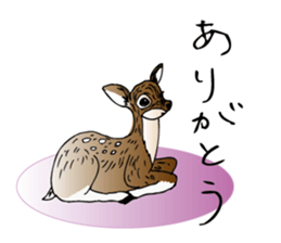 Land Animal sticker #5836002