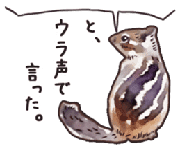 Watercolor squirrel sticker sticker #5836167