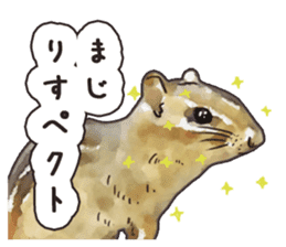 Watercolor squirrel sticker sticker #5836169