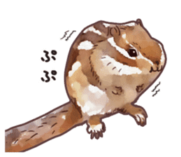 Watercolor squirrel sticker sticker #5836174