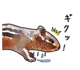 Watercolor squirrel sticker sticker #5836177