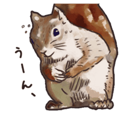 Watercolor squirrel sticker sticker #5836178