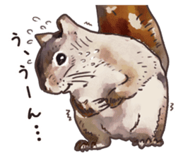Watercolor squirrel sticker sticker #5836179