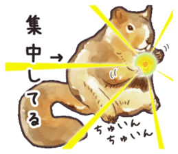 Watercolor squirrel sticker sticker #5836180