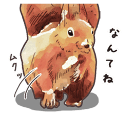 Watercolor squirrel sticker sticker #5836185