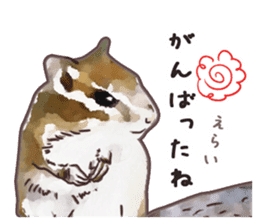 Watercolor squirrel sticker sticker #5836188