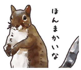 Watercolor squirrel sticker sticker #5836189