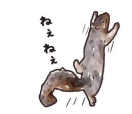 Watercolor squirrel sticker sticker #5836191