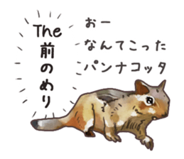 Watercolor squirrel sticker sticker #5836194