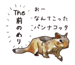 Watercolor squirrel sticker sticker #5836194