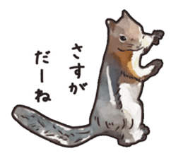 Watercolor squirrel sticker sticker #5836195
