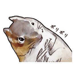 Watercolor squirrel sticker sticker #5836196