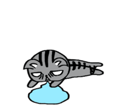 Silver tabby kitten SASUKE sticker #5836727