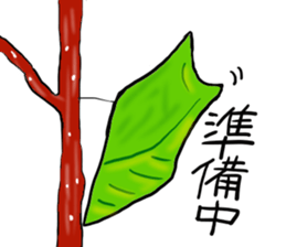 Mushimushi sticker sticker #5836951