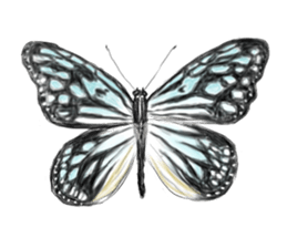 Mushimushi sticker sticker #5836952