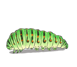 Mushimushi sticker sticker #5836953