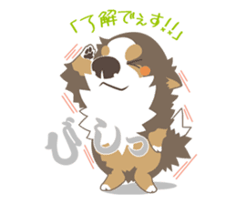 BerneseMountainDog-kurukuru no shippo- sticker #5839557