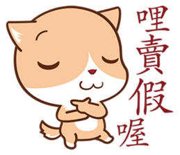 OOXX Cat sticker #5839648