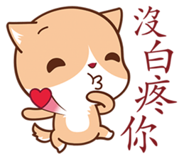 OOXX Cat sticker #5839661