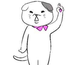 Everyday of Scottish Fold sticker #5841000