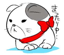 Everyday of Scottish Fold sticker #5841005